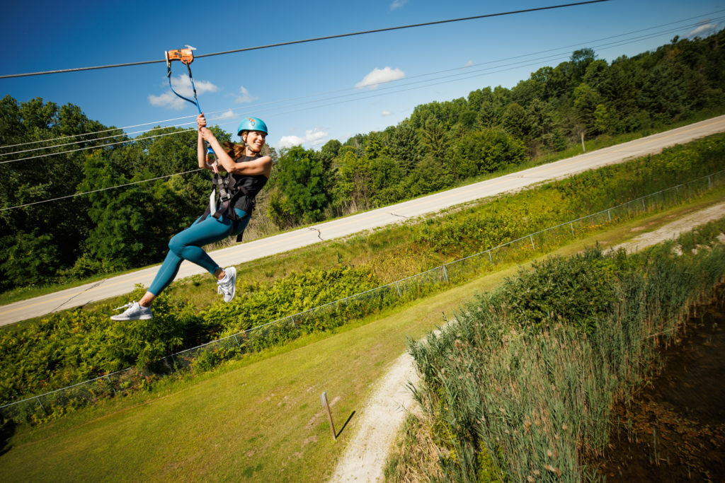 shoalhaven zoo and adventure park