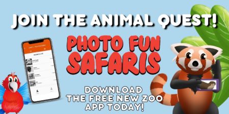 NEW Zoo Photo Fun Safari App | NEW Zoo & Adventure Park
