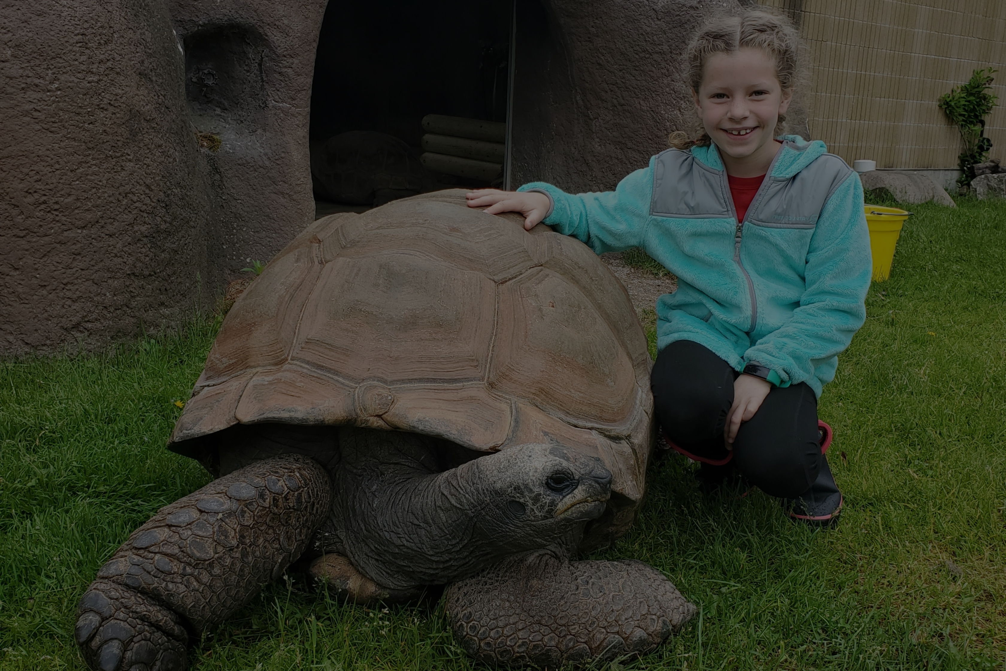 girl kneeling beside giant tortoise