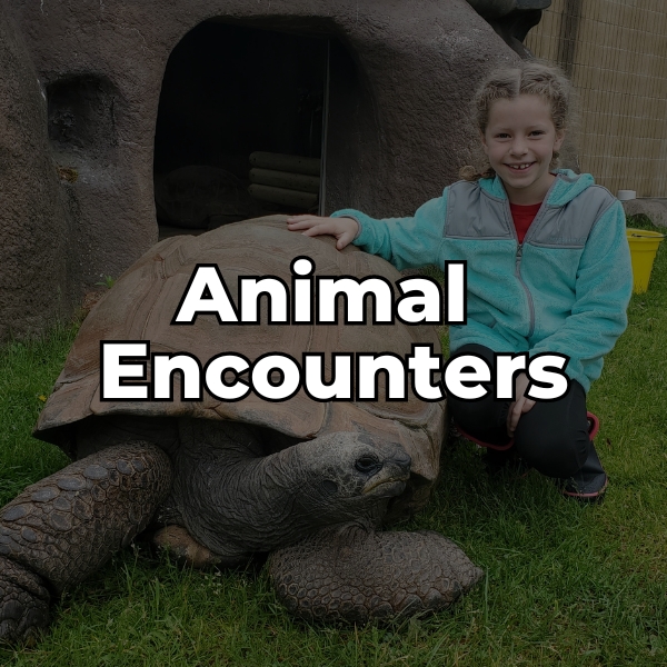 Click to view animal encounters
