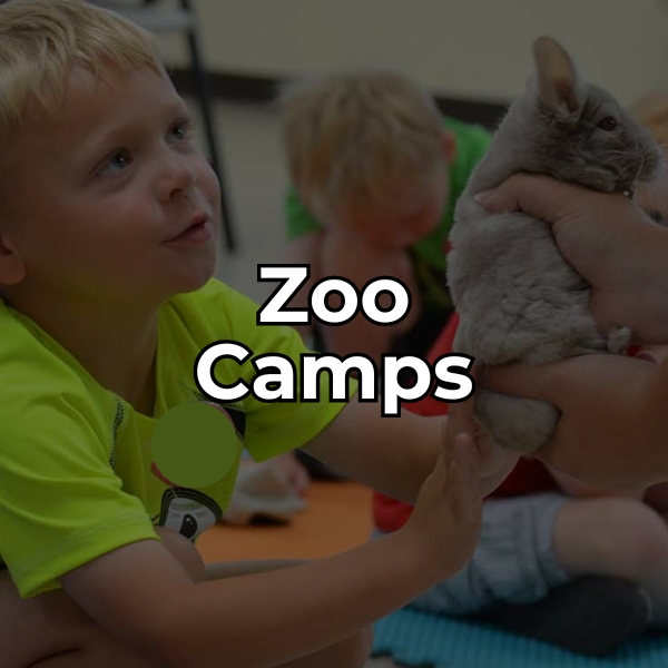 Learn about zoo camps at the NEW Zoo