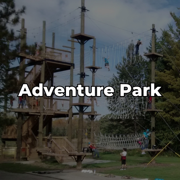 Visit the Adventure Park