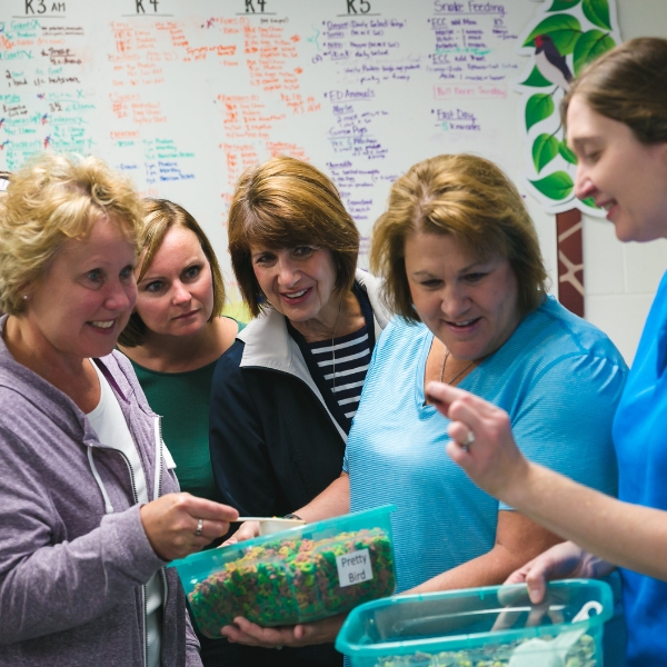 Smiling women gather around to look at parrot food up close