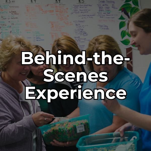 Sign up for a behind-the-scenes experience with some of our resident animals.