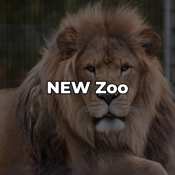 Visit the NEW Zoo