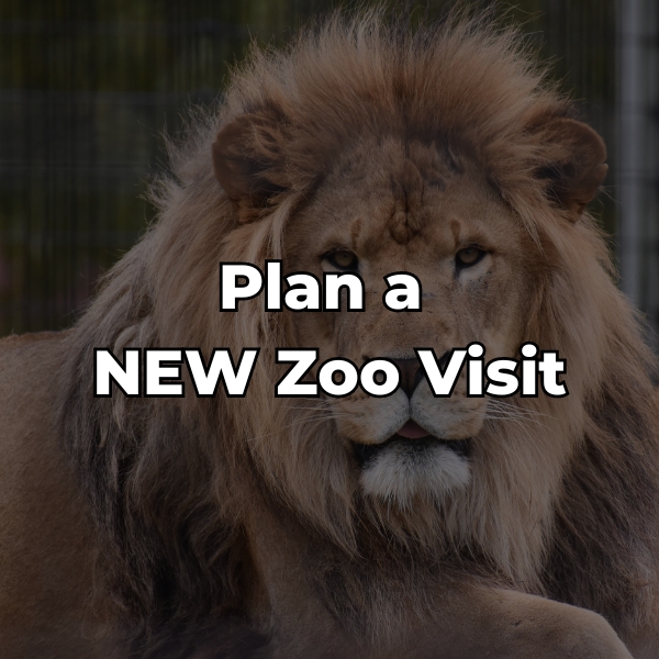 Plan your NEW Zoo visit