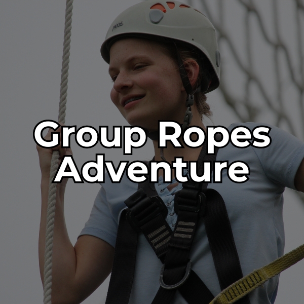 Sign up for a group ropes adventure.