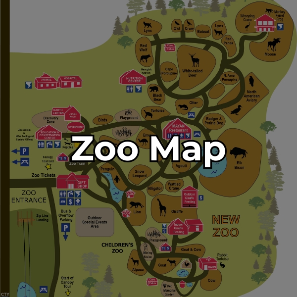 Learn about the layout of the zoo