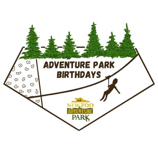 Adventure Park Birthday logo