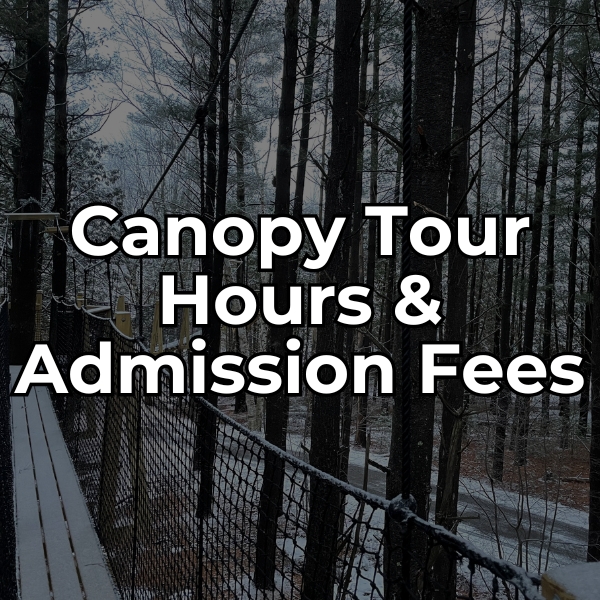 View canopy tour hours and admission fees