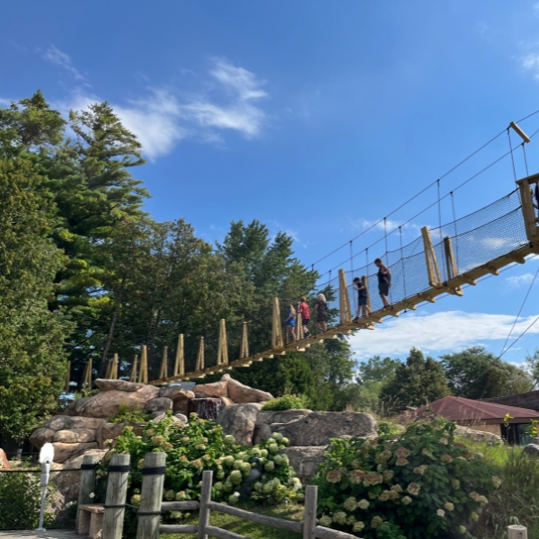 Looking up at five people standing on Canopy Tour bridge