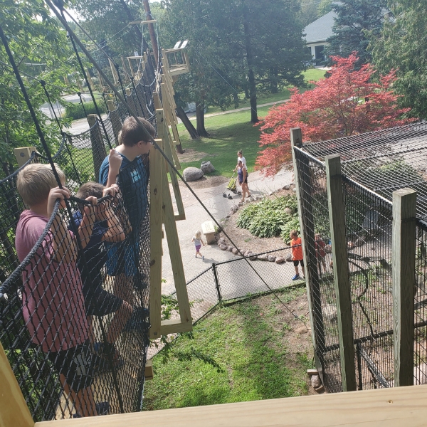 Children stand on Canopy Tour, looking at monkey habitat