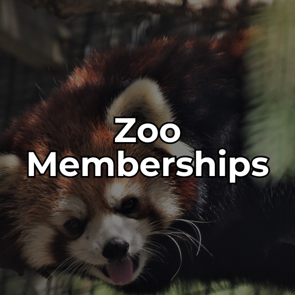 Learn about zoo memberships