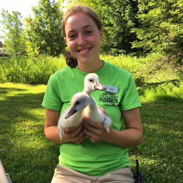 Smiling intern holds baby trumpeter swans