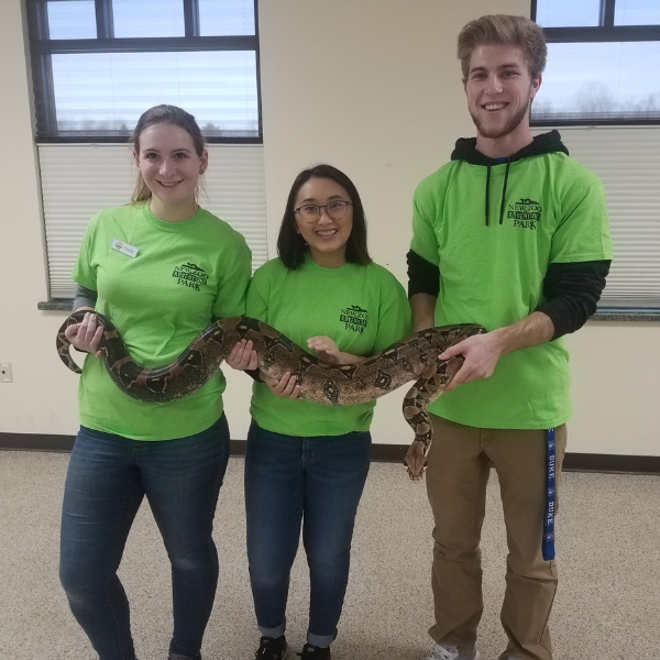 Three interns hold red-tailed boa