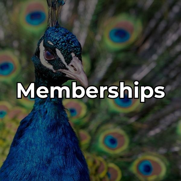 view membership options