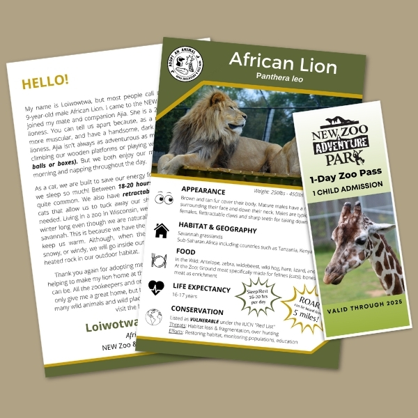 African lion fact sheet sits beside a zoo admission ticket