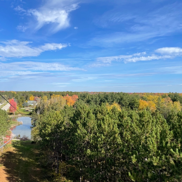 Blue sky over green trees with some leaves turning yellow and orange; seen from top of zipline tower