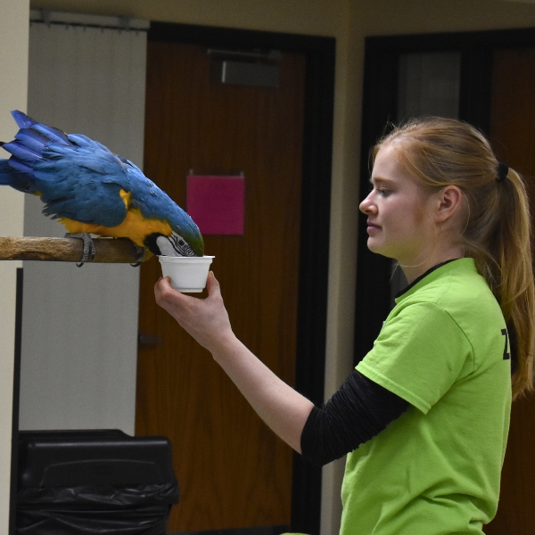 Woman feeds macaw