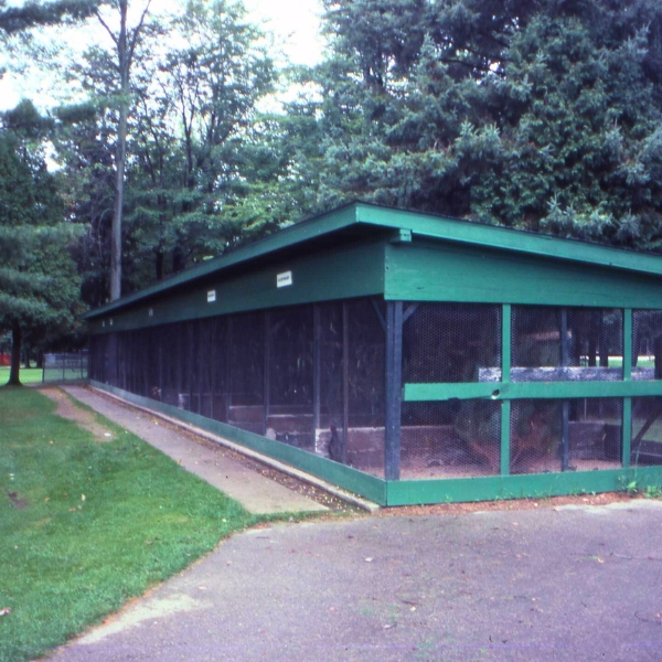 Animal exhibits made from green wood and metal screens in early 1990's