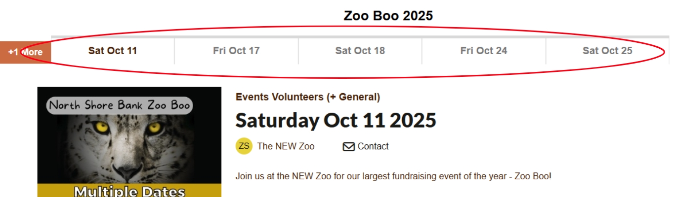 Image showing tabs can be clicked at the top of the page