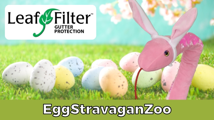 EggStravaganZoo Event Header (decorative)