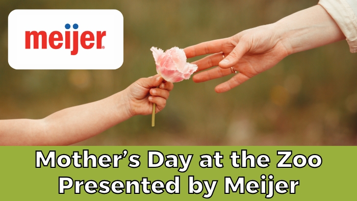 This year's Mother's Day at the Zoo is presented by Meijer