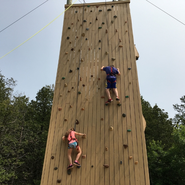 Kids on climbing wall