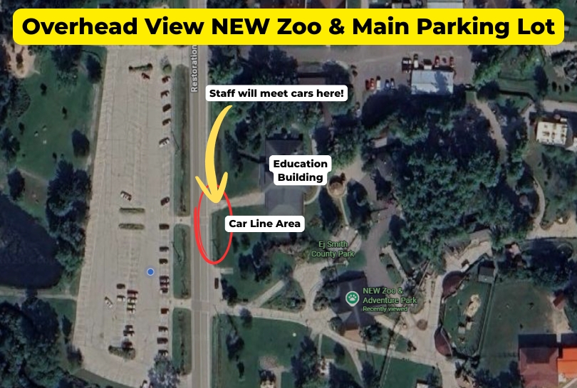Image shows overhead view of the Zoo and parking lot with a red circle around the place where cars will line up for pick-up and drop off. An arrow is pointing to the end of the driveway where staff will meet the cars.