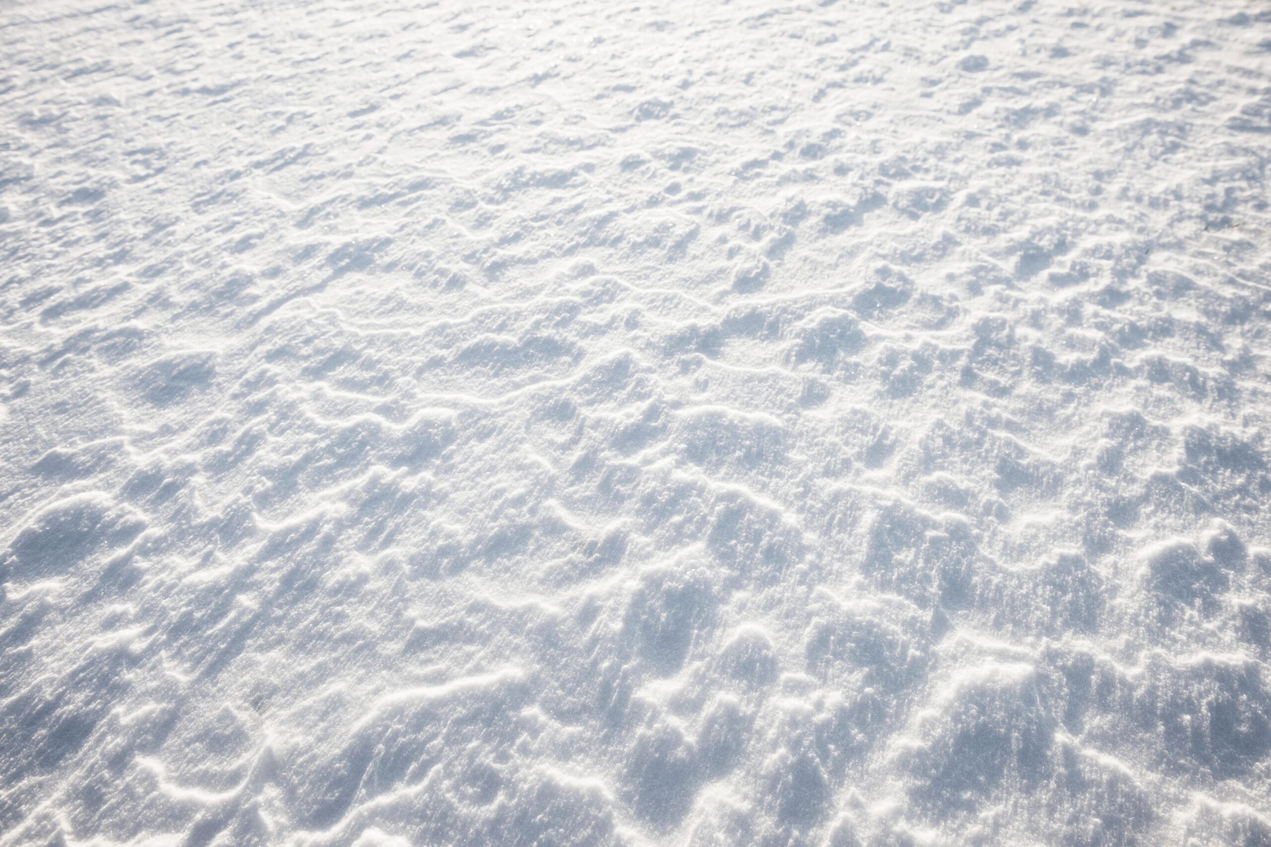 Snow-covered ground that is wind-swepped