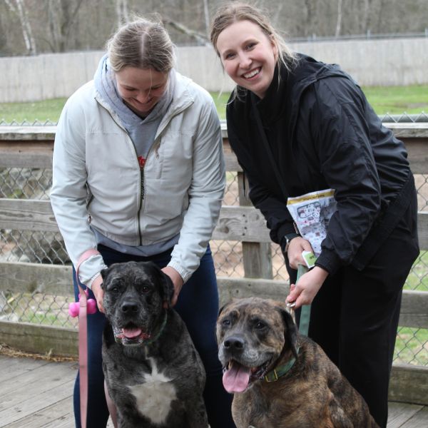 Two women smile at the camera; they each hold the leash of a mixed breed dog as they stand on the bridge near the bison yard.
