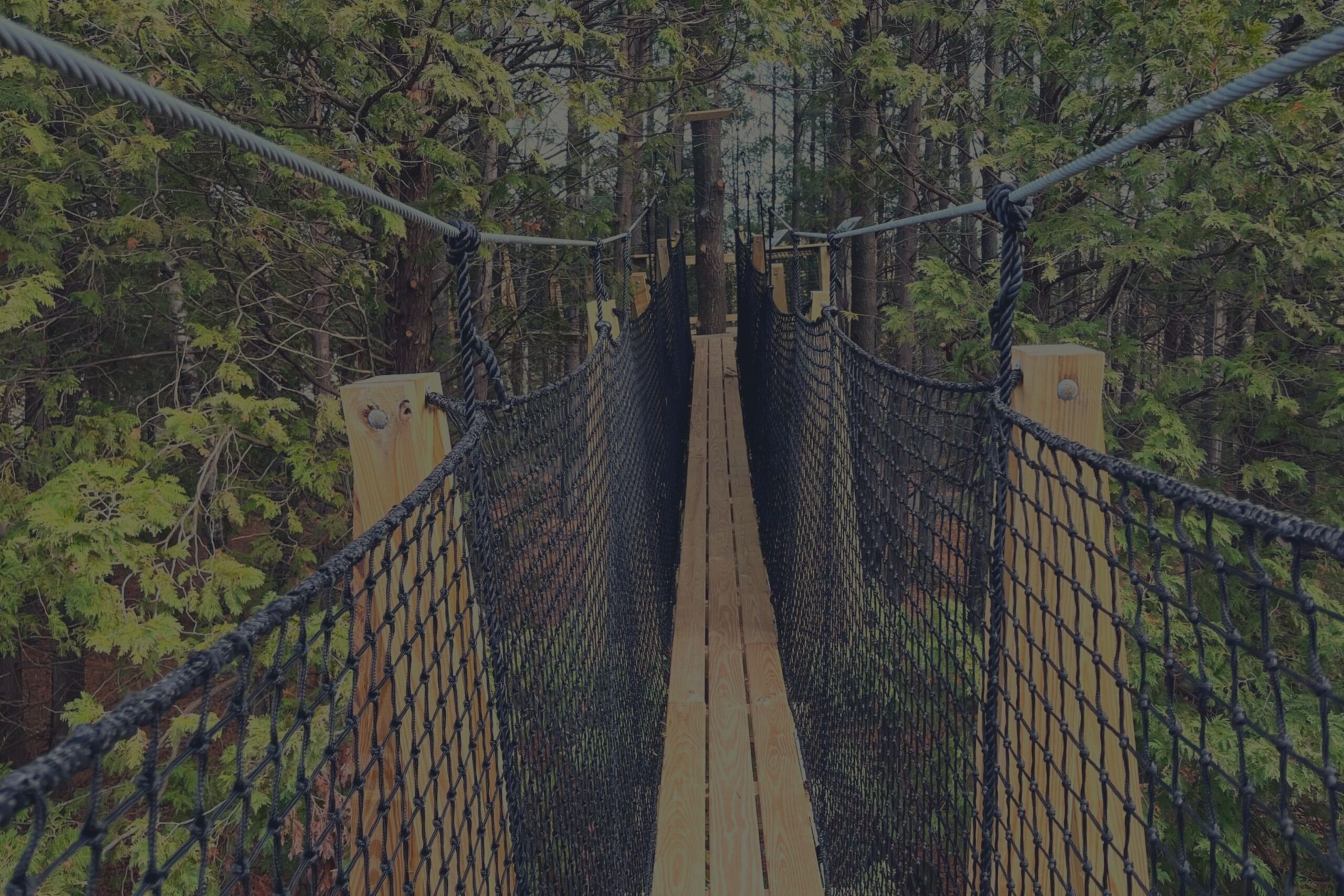 A suspended bridge stretched between two canopy tour platforms is surrounded by rope nets. The bridge appears to stretch out in front of the camera, as if you could step out onto it. Green trees surround it.