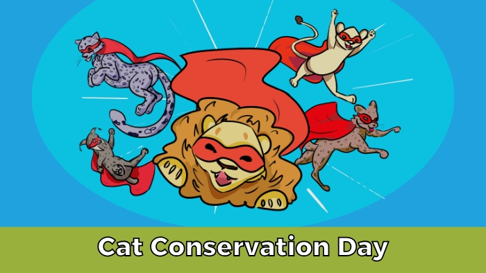 Cat Conservation Day header (decorative)