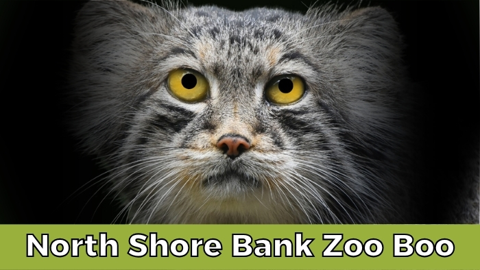 North Shore Bank Zoo Boo Event Banner