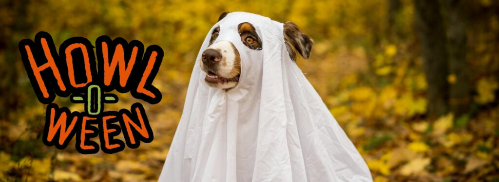 "Howl-o-Ween" is overlayed on a photo of a dog draped in a sheet like a ghost