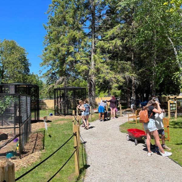 Several zoo visitors stand on a gravel pathway, looking at animals in their habitats. The green grass and blue ski are bright and cheery.