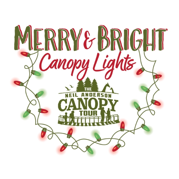 This is a decorative logo for the Merry & Bright Canopy Lights event.